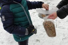 Dokarmiamy ptaki - gr. "Motylki" (Koryznowej, 2021)