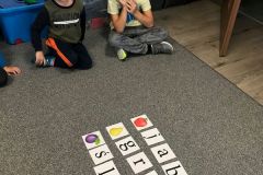 Drzewa owocowe – grupa „Tygrysy” (Turka, 2020)