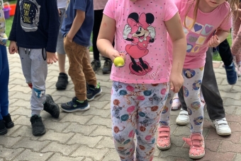81