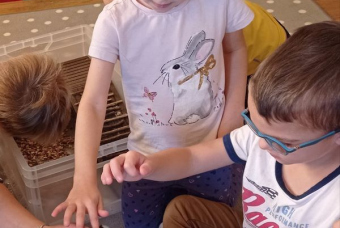 19