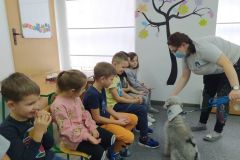 Edukacja Kynologiczna w grupie Tygrysów (Turka, 2020)