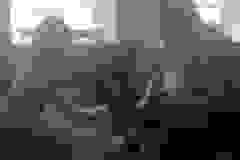 Edukacja kynologiczna w grupie Żabek. (Turka, 2021)