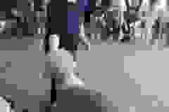 Edukacja kynologiczna w grupie Żabki (Turka, 2021)