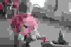 Edukacja kynologiczna w grupie "Żabki" (Turka, 2021)