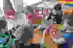 Grupa Żabki w krainie baśni (Turka, 2021)