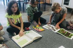 Jak powstaje papier? Jaka jest jego struktura? (Turka, 2021)