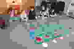 Kodowanie na dywanie w grupie "Żabki". Wielkość i kształt (Turka, 2021)