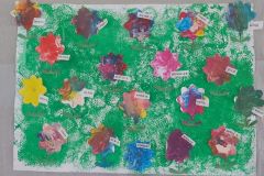 Kolorowa łąka Misi  (Turka, 2021)