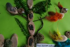 Naturą malowane -  rozstrzygnięcie konkursu plastycznego (Turka, 2022)