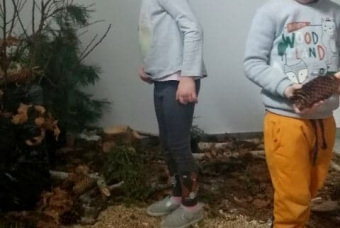 28