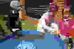 Sensoryczna zagroda (Turka, 2021)