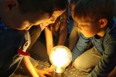 Skąd bierze się prąd?  (Turka, 2021)