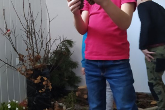 29