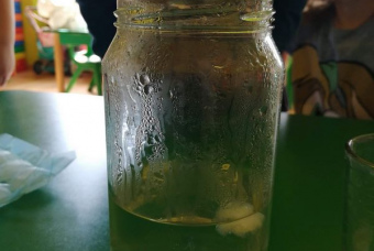 41