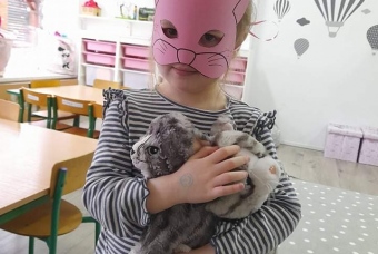 40