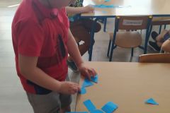 Tygrysy i matematyka (Turka, 2021)