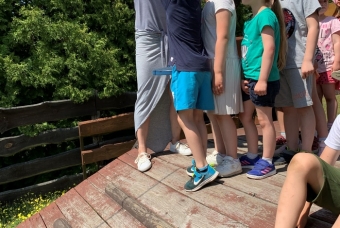 51