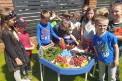 Tygrysy w odwiedzinach na gospodarstwie rolnym (Turka, 2021)