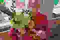 Wiosna tuż, tuż... (Turka, 2021)