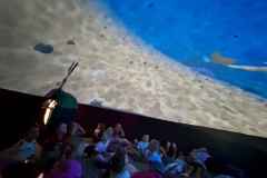 Wycieczka do oceanarium (Koryznowej, 2024)