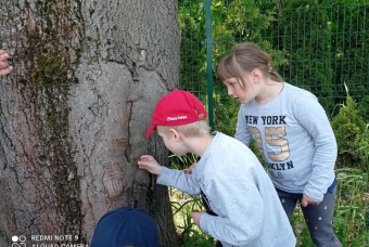 05