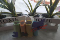 Za nami Dzień Kota (Turka, 2021)