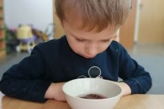 Zabawa polisenoryczna herbatą gr. Misie (Turka, 2020)