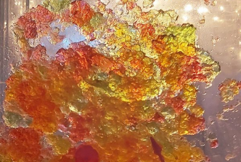 21