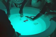 Zabawy polisensoryczne w grupie Żabek (Turka, 2021)