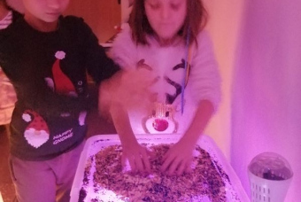 44