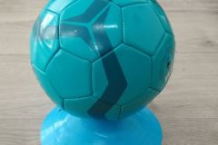 Żabkowa Drużyna Kangura (Turka, 2020)