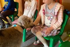 Zajęcia z edukacji kynologicznej - grudzień - gr. Słoneczka i Motylki (Koryznowej, 2020)