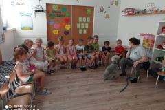 Zajęcia z edukacji kynologicznej w gr. Pszczółki (Owocowa, 2021)