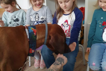 20