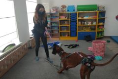 Zajęcia z edukacji kynologicznej w grupie Misi (Turka, 2021)