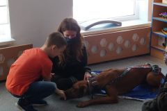 Zajęcia z edukacji kynologicznej w grupie Tygrysków (Turka, 2021)