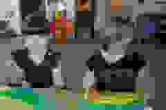 Zwierzęta dżungli i sawanny (Turka, 2021)