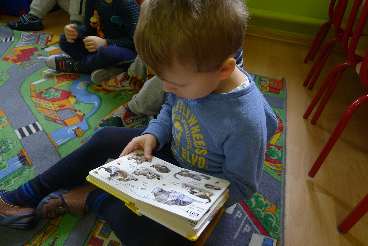 Światowy Dzień Kota