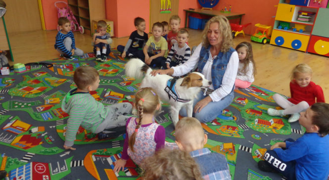 Dogoterapia w przedszkolu