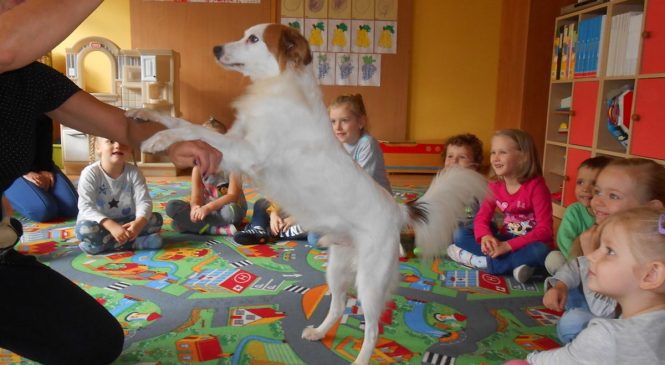 Dogoterapia w przedszkolu