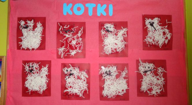 Kotki – nasi domowi ulubieńcy – grupa „Misie”