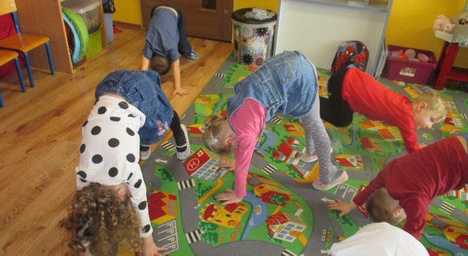 Dzień Kota – grupa Tygrysy