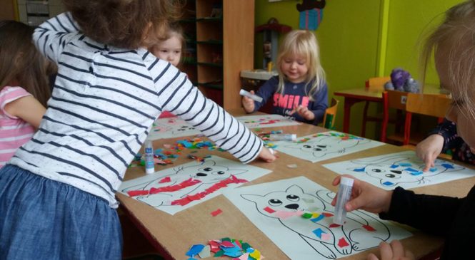 Dzień Kota – „Żabki”, „Misie” i „Króliczki”