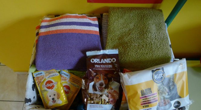 Akcja charytatywna „Przytul mnie”