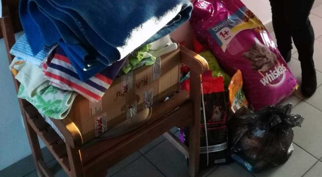 Podsumowanie zbiórki dla bezdomnych zwierząt