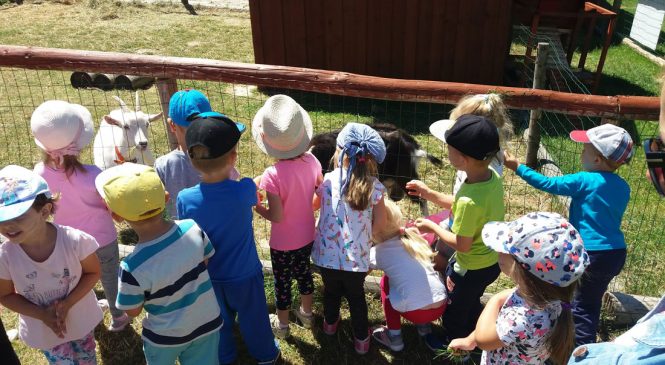 Wycieczka do Wioski Indiańskiej – grupa „Misie”