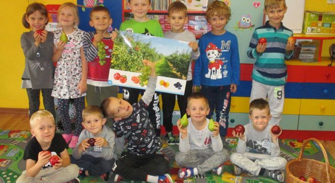Co nam jesień w koszu niesie? – grupa Tygryski