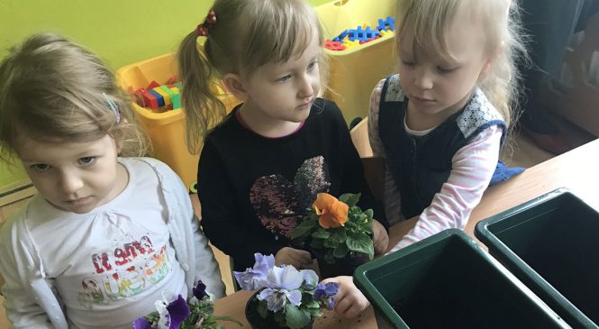 W naszym ogródeczku – grupa „Misie”