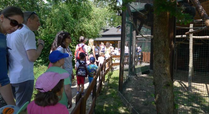 Wycieczka do ZOO w Wojciechowie