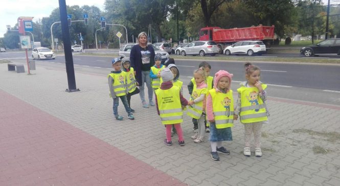 Krasnale bezpieczne na drodze
